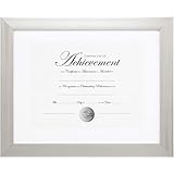 Burnes Home Accents DAXNDSB1114ST 11 x 14 in. Brushed Document Frame Silver