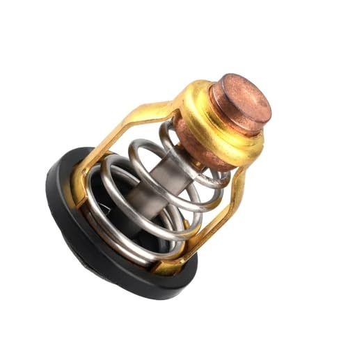 Thermostat de moteur hors-bord 70-300 CV pour éviter la surchauffe en mer