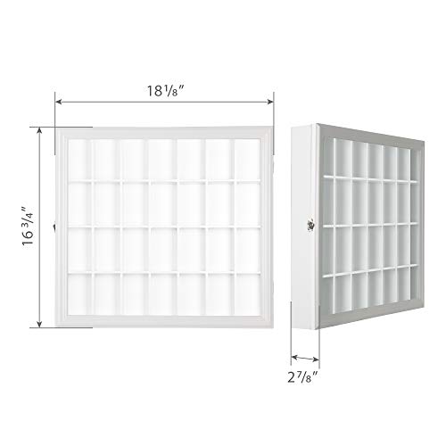 Gallery Solutions 18x16 Collectible Display Case Shadow Box with Hinged Front, White
