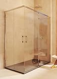 Box doccia 2 scorrevoli + 2 fissi, senza profilo inferiore, REVERSIBILE, Vetro sicurezza 6mm anticalcare– 67,5-70 x 97,5-100cm – H = 195cm, Argento