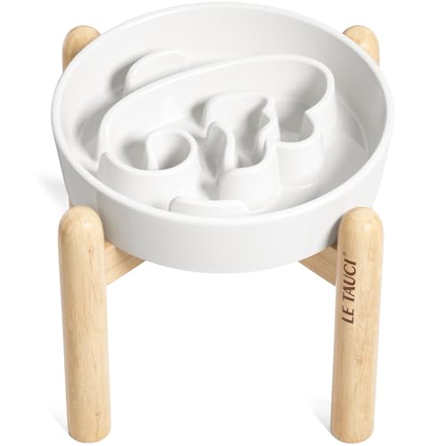 LE TAUCI Z~bN X[tB[_[ hbO{E ~3Jbv ؐX^ht ^^AX[_EHApYhbOt[h{EAGWFzCg