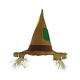 Pointed Scarecrow Raggedy Costume Hat w/Raffia Hair