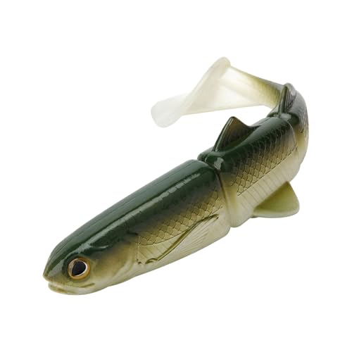 phe[A[lHCa 16 Z`[g/22 Z`[g\tgXCxCgނANZT[ T e[ނ\tga