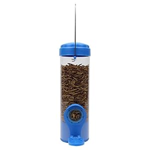 Perky-Pet 388F Dried Mealworm Bird Feeder with Flexports