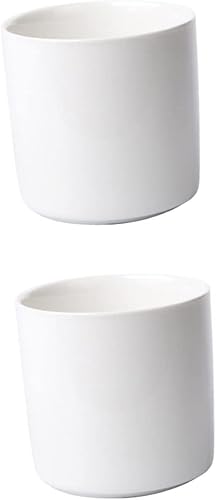 HANABASS 2 suculentas de bonsái para cerámica mini al aire libre, lindo contenedor de cerámica para el hogar, centro de plantas, arreglo de disponible en Yaxa Guatemala