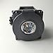 CTLAMP NP21LP Projector Replacement Lamp with Housing NP21LP Compatible with NEC NP-PA500U NP-PA500X NP-PA5520W NP-PA600X PA500U PA550W PA600X NP-PA550W PA500X
