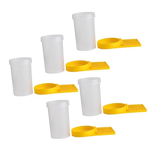 ABOOFAN 5 {IpI ϋvvX  uIJbv {IƐpH ȒP| ݌v