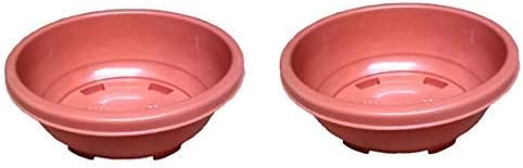 KOLKATA ORCHID ONLINEPlastic Oval Pot, 12 inch, 2 Pieces