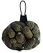 Darice Autumn Fall Decor - Bag of Small Faux Acorns 4oz/120G