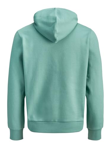 JACK & JONES Jjelogo Sweat Hood 2 Col 25/26 Noos – Ansicht 4