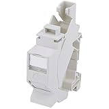 Telegrtner 82772 TS45 AMJ-S - Mdulo para riel de Sombrero