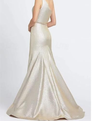Mermaid/Trumpet Sexy Elegant Prom Dress One Shoulder Floor Length Sleeveless Formal Evening Dress Glittering 20242
