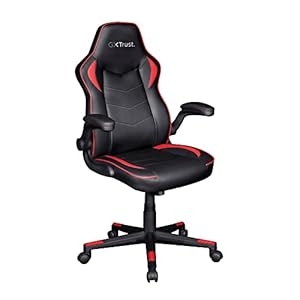 Trust Gaming GXT 704 Ravy-gamingstoel, PC-bureaubureaubureaudraaistoel, Volledig 360 Draaibare Stoelen, Opklapbare Armleuningen, Bureaustoel voor Gaming, Streaming, PC, Toetsenbord – Zwart