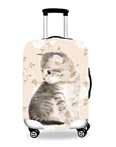 [SoreSore] \\ X[cP[XJo[ h Lkf L[Jo[ QbWJo[ L L lR ԕ  Aj}  ho s o ֗ S M LTCY