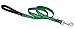 LupinePet Originals 3/4" Tail Feathers 6-foot Padded Handle Leash for Medium and Larger Dogs