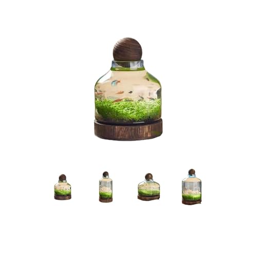 LIVIAKX ؐgCt zf Eiϋ㝁Ekrp rO/֑ ԎKKX iόp (S)