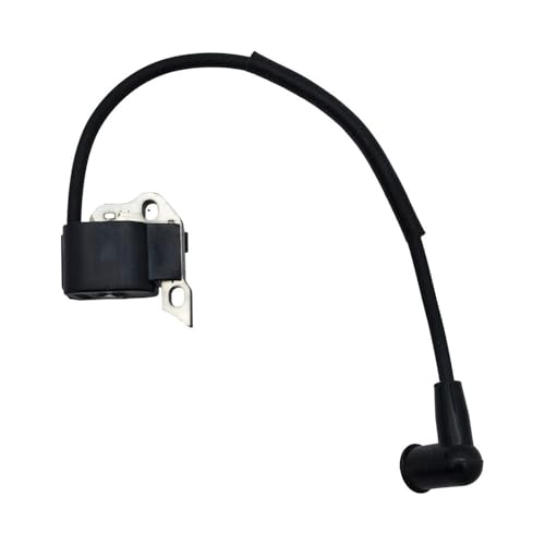 Bobine d'allumage stable pour modèles BR340 BR420 SR420 OEM 42034001301