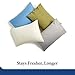 Cosy House Collection Premium Rayon Derived from Bamboo Pillowcase Set of 2 - Ultra Soft, Cooling & Breathable Bedding (Standard/Queen, White)