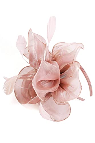 Gionforsy Kentucky Derby Hat Fascinator Veil Fascinator Headband Lace Gloves Imitation Pearl Necklace Earrings Feather Pillbox Fascinator For Wedding Tea Party (Style 6-Pink) #TOP3
