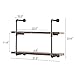 HOMISSUE 2-Shelf Rustic Pipe Shelving Unit, Vintage Industrial Pipe Wall Shelf, Retro Brown