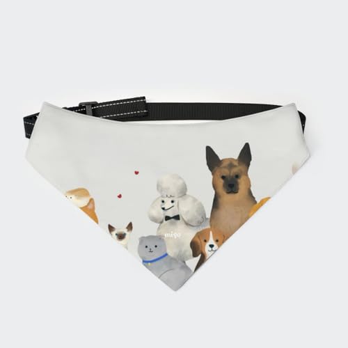 [§miyo] ybgp o_i Lp ֕t OpXJ[t ߉\ HGv y _炩 U av[g  (1)