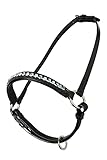 showhalfter minishetty  MHS Showhalfter Mon Cherie Schwarz-Blau Große 2