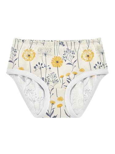 ZZKKO Farmhouse Dandelions Flower Girls Underwear Toddler Panties for Girls Comfort Brief Size 2T