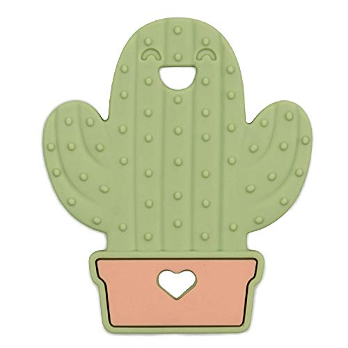 bumkins デンタル歯がため3ヵ月~ Cactus BM-THRCTS