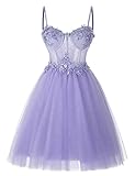 Clothfun Vintage Glitter Tulle Prom Dress for Women Short Spaghetti Straps Lace Beaded Formal Evenin