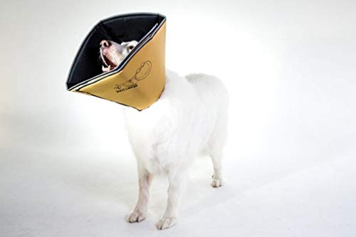 All Four Paws Comfy Cone Pet Cone For Dogs, Cats, Xx-Large, Tan - Comfortable Soft Dog Cone Collar Alternative For After Surgery, Wound Care, Spay, Neuter - Dog And Cat Recovery Collar #TOP2