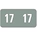 Smead ETS Color-Coded Year Label, 2017, Label Sheet, Gray,  250 per Pack (67917)