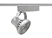 Juno Lighting Group R703SL Funnel 50W 12V Trac-Lites/Trac-Master Adjustable Fixture, Silver Finish