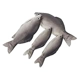 TOYANDONA