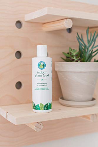 Houseplant Care Bundle miniatura 2