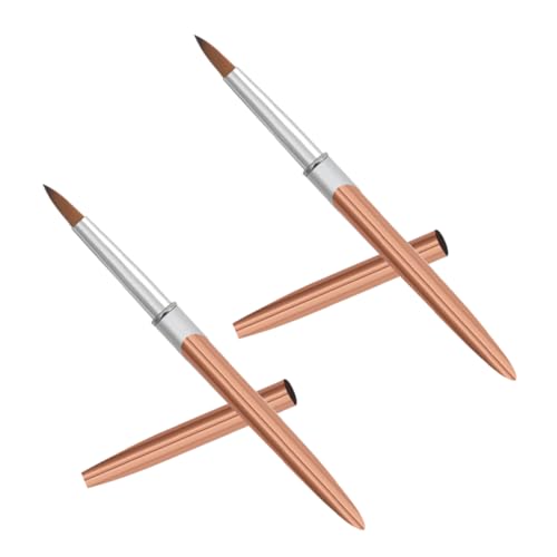 Didiseaon 2Pcs Fine Tip Nail Art Brush Kit Durable Metal Handle Detailing Pens for Intricate Designs Lightweight Travel Friendly for Beginners Professionals