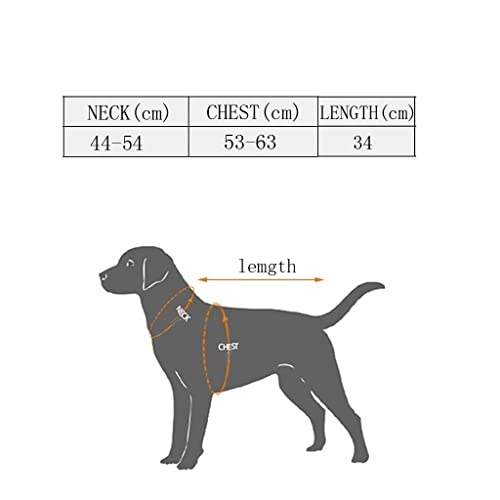 Dog jacket de alta comodidad Ioensy para paseos sin tirones 4