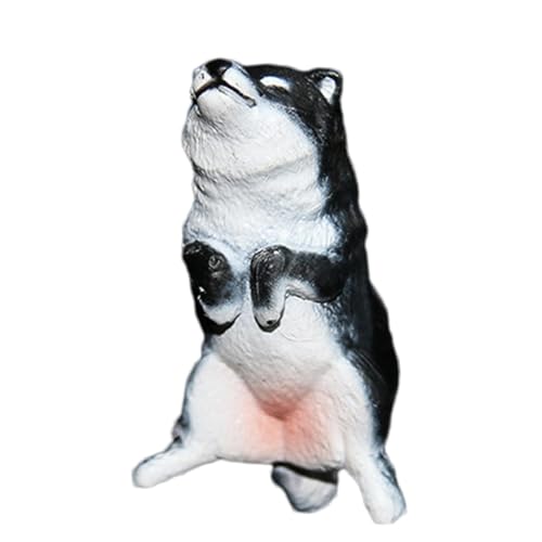 Maciun J[fBt[U[  | ʔR[M[ ԗpGAxgfR[V - J[gD[Aj}J[GAxgfR[VAJ[tOXfBt[U[xgNbvALfR[VANZT[