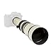 Ultimaxx 650-1300mm (w/ 2X 1300-2600) Telephoto Zoom Lens Set for Nikon D7500, D500, D600, D610, D700, D750, D800, D810, D850, D3100, D3200, D3300, D3400, D5100, D5200, D5300, D5500