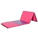 Soozier B1-0065 PU Leather Gymnastics Tumbling/Martial Arts Folding Mat, Pink/Purple, 4 x 10' x 2"