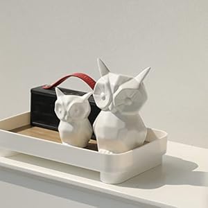 Owl statue for home decor glazed ceramic owl figurine modern bird figurine owl statue for cabinet fireplace mantel living room bedroom ornaments owl gifts for owl lover white  urban country home decor
