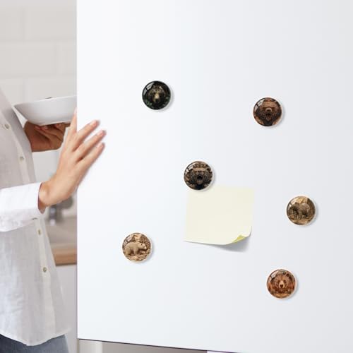 Set de 6 imanes redondos para refrigerador tema oso marrón miniatura 6