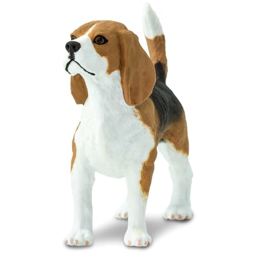 Safari 254929 – Hund Beagle