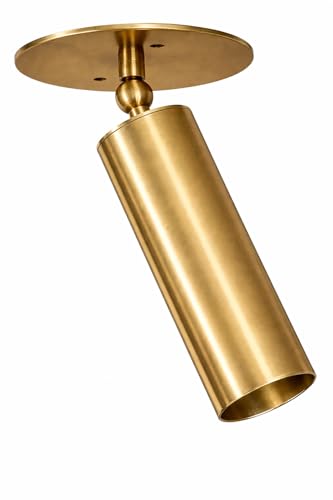 Brass Adjustable Ceiling Spotlight – Antique Brass Directional Ceiling Light Fixture, Modern Cylinder LED Spotlight Ceiling Lamp for Kitchen, Bedroom, Hallway, Gallery, Living Room (Antique Patina)