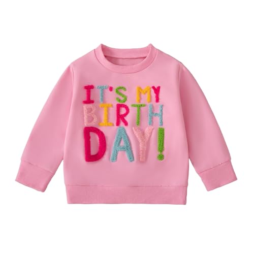 Toddler Baby Fall Outfit Birthday Girl Crewneck Sweatshirt Tops Little Princess Birthday Shirt Kids Spring Clothes