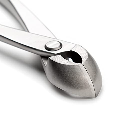 tianbonsai Professioneller runder Kantenschneider, 205 mm, Bonsai-Werkzeug aus legiertem Stahl, 4Cr13MoV