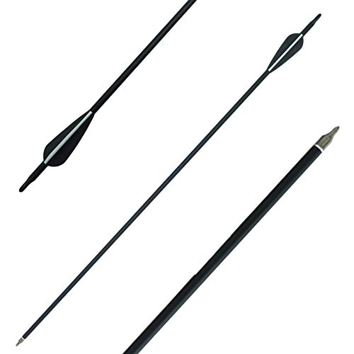 Handbaige 12 Pack Mix Carbon Archery 30/31 Inch Hunting Arrows 100 Grain Points For Targeting Compound/Recurve/Long Bow #TOP6