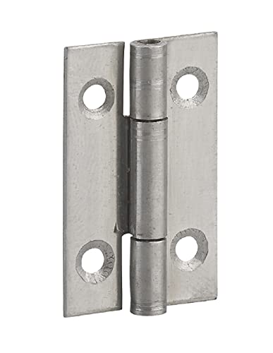 THIRARD - Charnière de Porte de Meuble - Inox 309 - Simple Feuille Acier Décapé - Nœud Roulé - Compatible Portes Légères - Accessoire Pratique - 40 x 25 mm - Gris