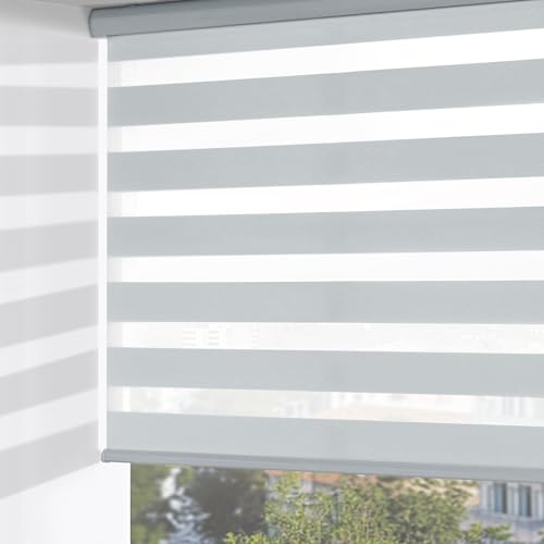 ChrisDowa Cordless Zebra Blinds for Windows, Dual Layer Free-Stop Light Filtering Window Roller Shades, Pull Down Privacy Zebra Shades for Home, Office, Bedroom, Door (21" W x 72" H, Light Grey)
