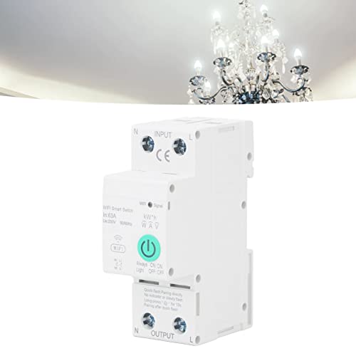 Deosdum Ac230V Circuit Breaker Din Rail Wifi Leakage Protection 2P 63A Cell Phone Remote Control Switch For Smart Home #TOP2