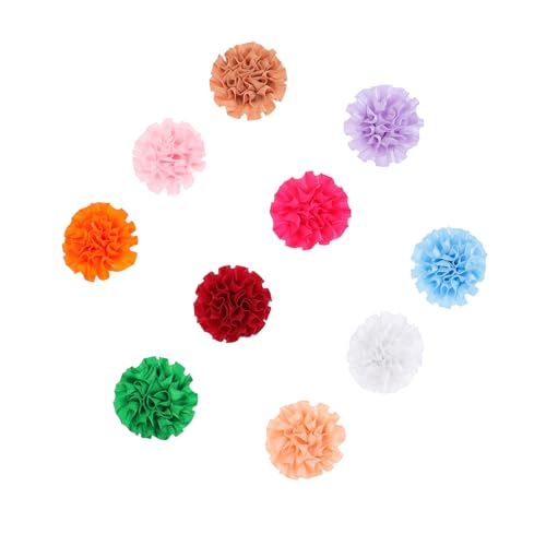 Colliers pour animaux légers et colorés pour les balades et photos